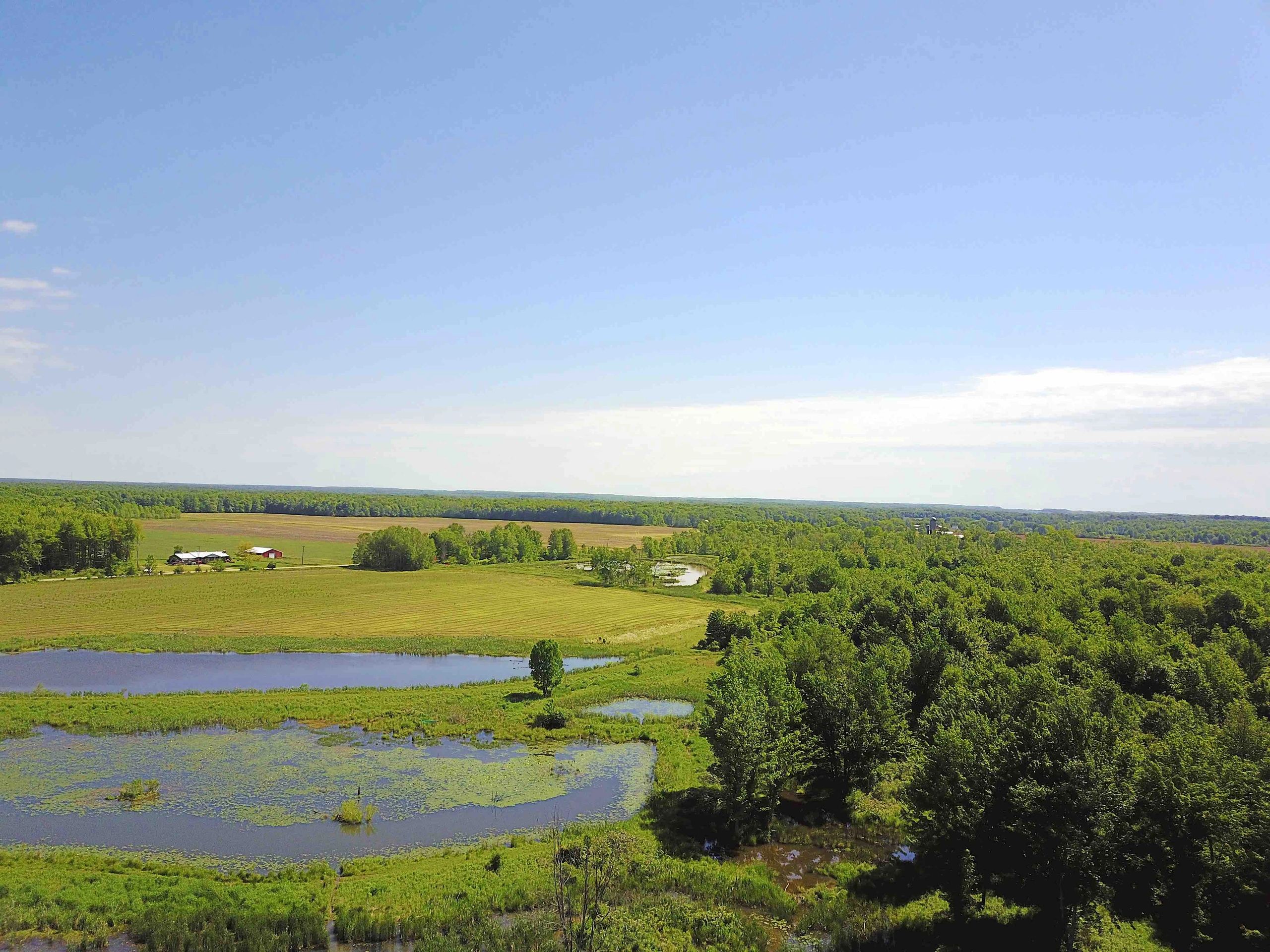 Ohio Hunting Land, Farm Land, Ohio Timber RES Sportmans Properties